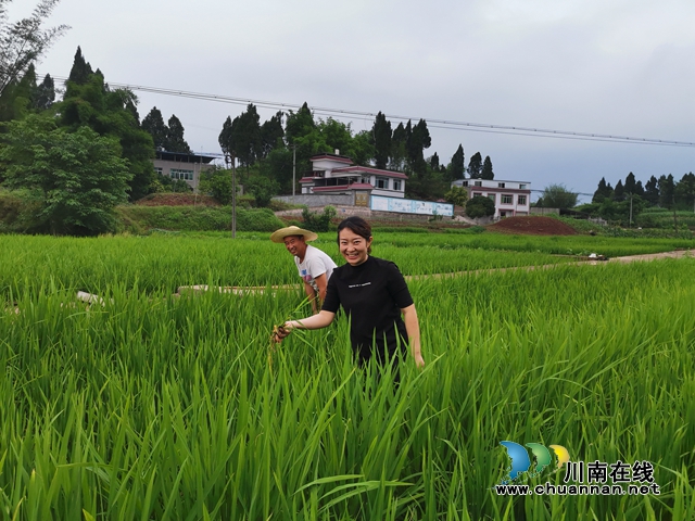 瀘縣太伏鎮(zhèn)：玩抖音開網(wǎng)店種養(yǎng)新奇特 駐村工作隊講好伏龍村富農脫貧故事(圖5)