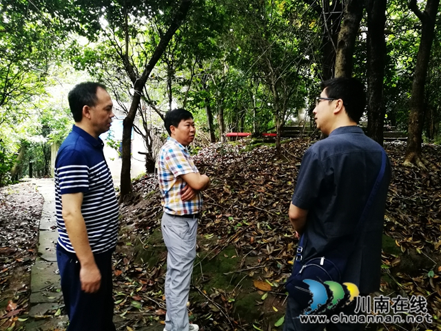  涉金融專項執(zhí)行高潮再起！納溪法院依法”活封“703株景觀樹