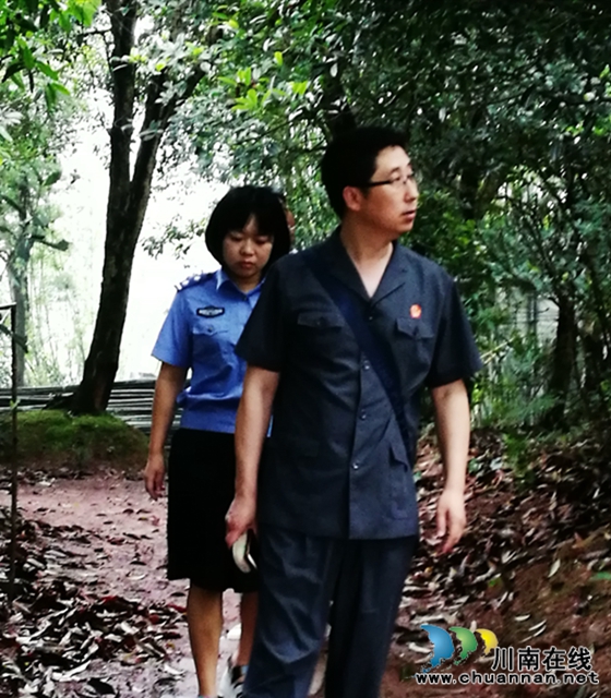  涉金融專項執(zhí)行高潮再起！納溪法院依法”活封“703株景觀樹(圖5)