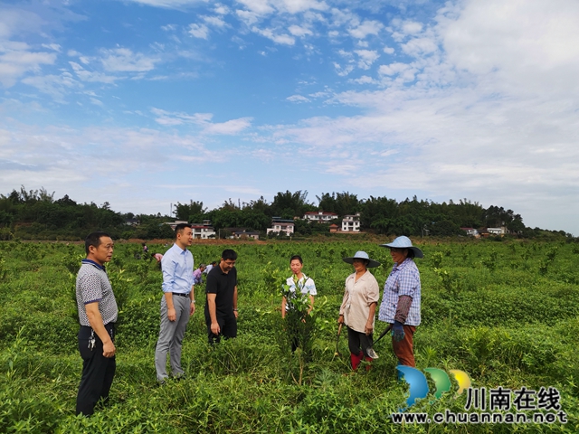 瀘縣海潮鎮(zhèn)：駐村工作隊找來脫貧路，村民當(dāng)上產(chǎn)業(yè)工人圓了致富夢(圖1)