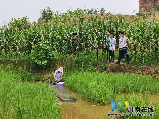 瀘縣天興鎮(zhèn)志城村：辦市場、興產(chǎn)業(yè)、育能人 駐村工作隊的三大脫貧法寶(圖2)