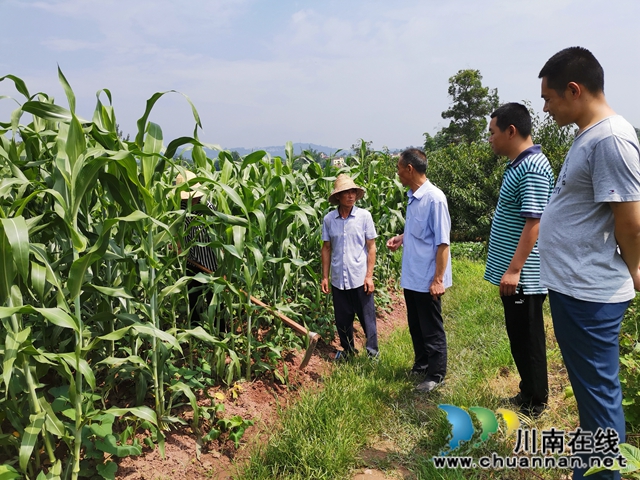瀘縣天興鎮(zhèn)志城村：辦市場、興產(chǎn)業(yè)、育能人 駐村工作隊的三大脫貧法寶(圖4)