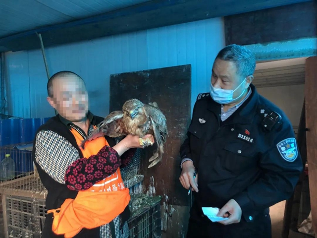 瀘州市公安局森林警察支隊授牌?。吃乱詠砥偏@陸生野生動物案件88件(圖7)