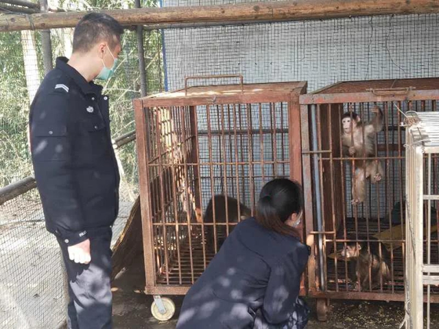 瀘州市公安局森林警察支隊授牌?。吃乱詠砥偏@陸生野生動物案件88件(圖15)