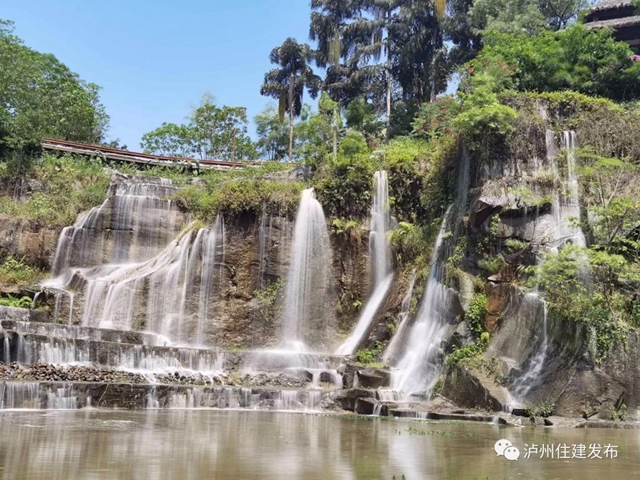 瀘州市植物園申報(bào)省級(jí)重點(diǎn)公園(圖4)