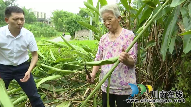 合江縣鼓樓山村“海歸”職業(yè)經(jīng)理人鄧啟明：走出“小家”，心存“大家”