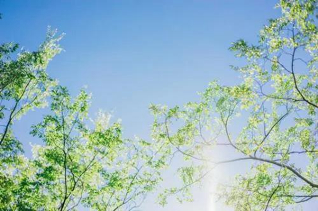【夏至】身體濕氣重，如何防治？