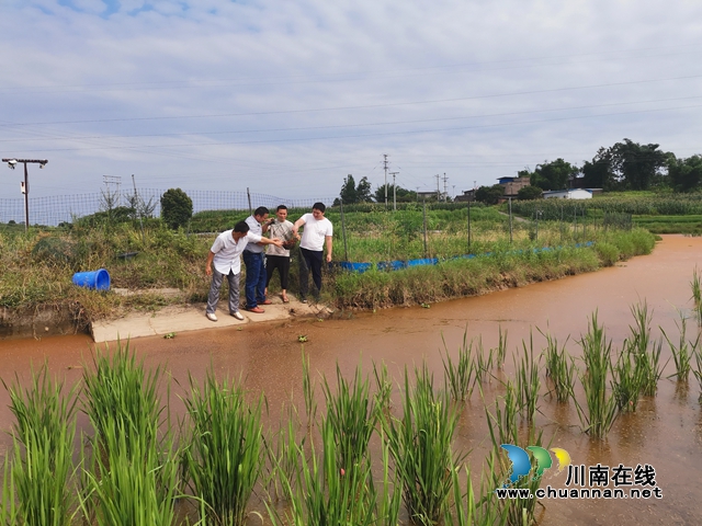 瀘縣兆雅鎮(zhèn)：駐村工作隊精準施策 型家村脫貧產業(yè)開花結果(圖3)