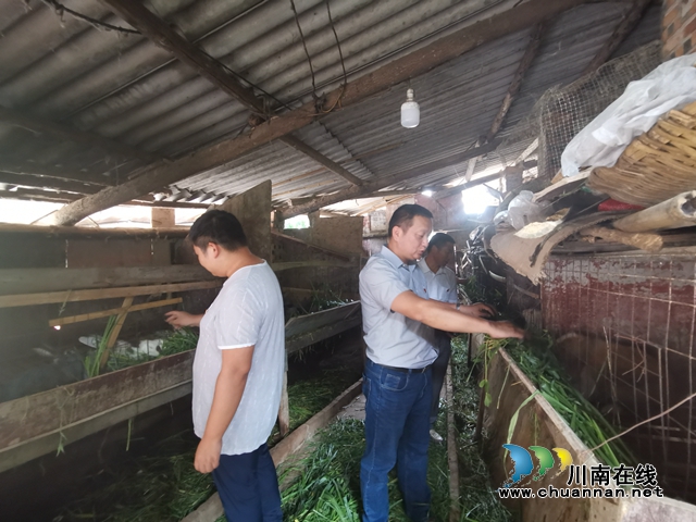 瀘縣兆雅鎮(zhèn)：駐村工作隊精準施策 型家村脫貧產業(yè)開花結果(圖1)