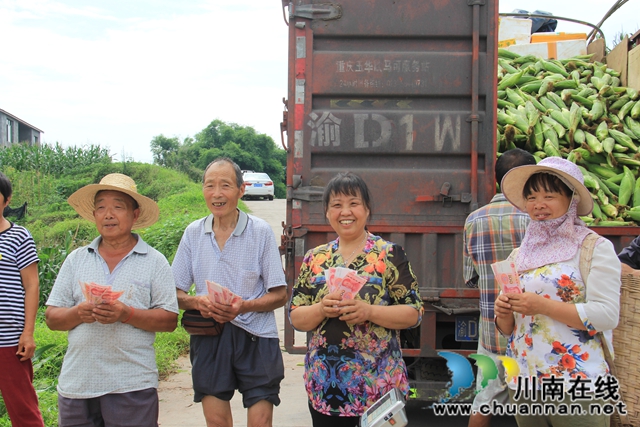 瀘縣云龍鎮(zhèn)：訂單農(nóng)業(yè)讓農(nóng)戶種地省心有賺頭(圖3)
