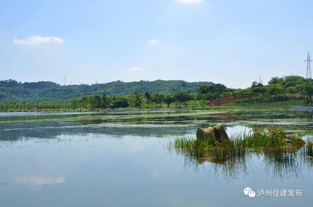 山水如畫！瀘州漁子溪生態(tài)公園下月驗收！(圖1)