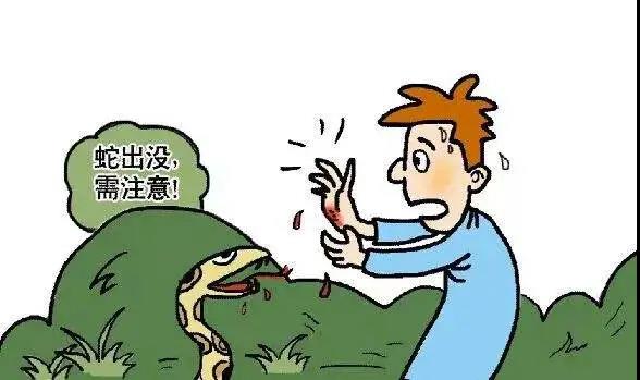清晨6點(diǎn)，瀘州男孩在睡夢(mèng)中被毒蛇咬傷入院！(圖3)