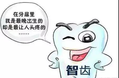 【擴散】智齒，到底該不該拔？(圖2)