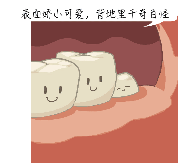 【擴散】智齒，到底該不該拔？(圖6)