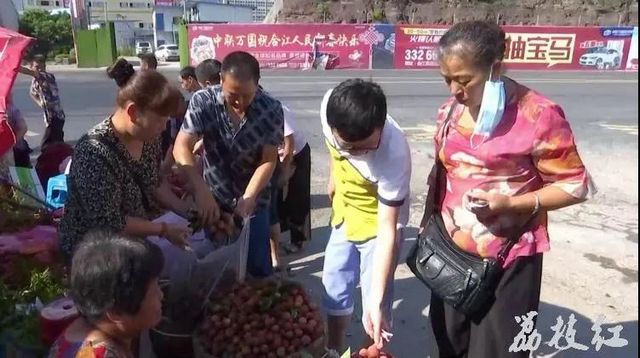 【荔枝紅了】合江荔枝開始上市了！(圖1)