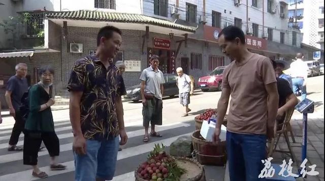【荔枝紅了】合江荔枝開始上市了！(圖5)