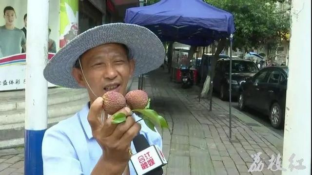 【荔枝紅了】合江荔枝開始上市了！(圖6)
