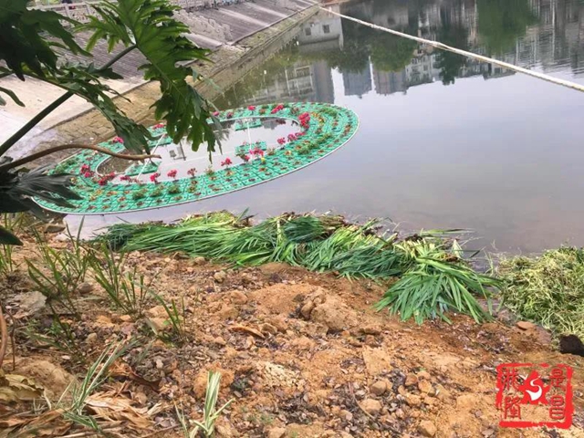 隆昌：昔日水庫“變”公園！你還認識它嗎？(圖6)