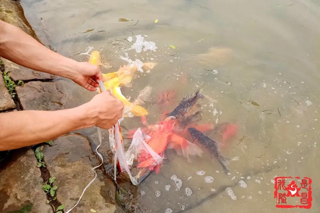 隆昌：昔日水庫“變”公園！你還認識它嗎？(圖7)