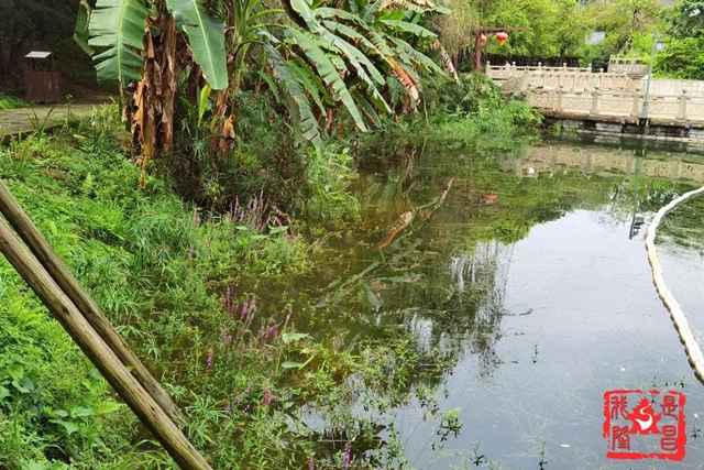 隆昌：昔日水庫“變”公園！你還認識它嗎？(圖3)