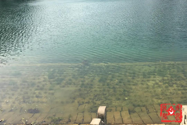 隆昌：昔日水庫“變”公園！你還認識它嗎？(圖8)
