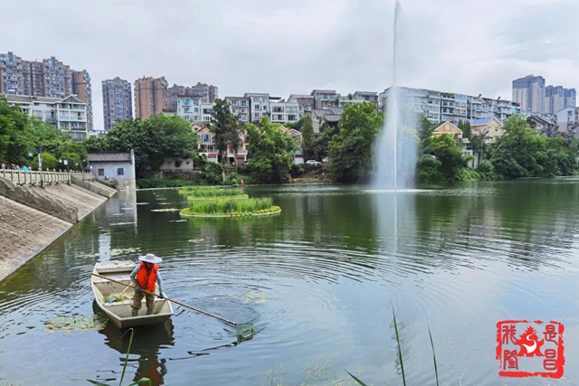 昔日水庫“變”公園！內(nèi)江人，你還認識它嗎？(圖9)