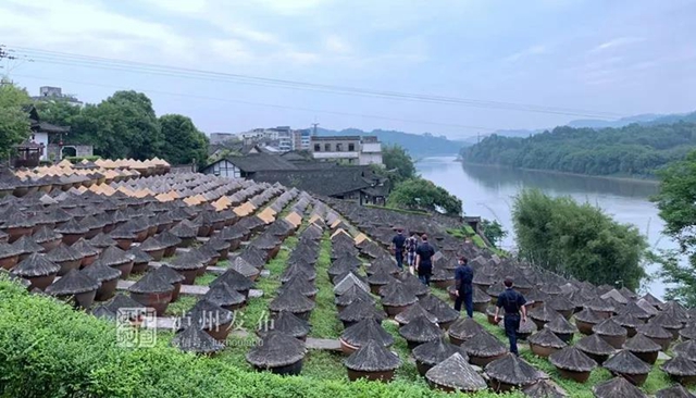 合江、隆昌、翠屏區(qū)入選成渝地區(qū)雙城經(jīng)濟圈建設(shè)縣域集成改革首批試點名單(圖4)