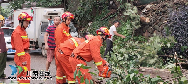 大風(fēng)刮倒大樹壓車堵路　瀘州消防火速排險(圖2)