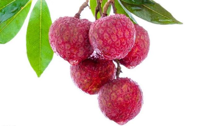 【分享】荔枝吃到飽，結(jié)果……
