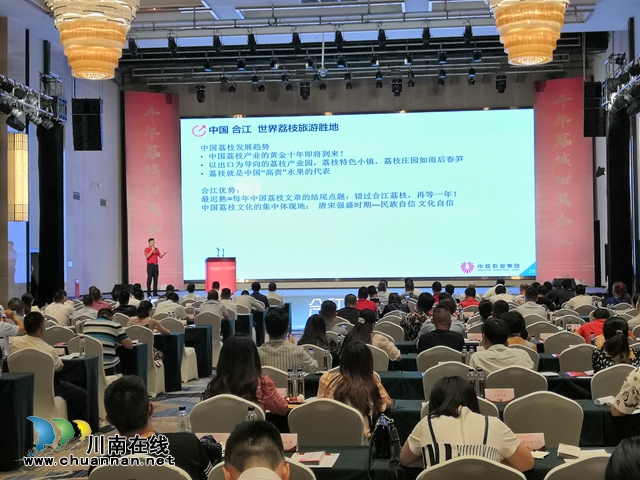 荔枝紅了|官宣！合江荔枝正式上市(圖4)
