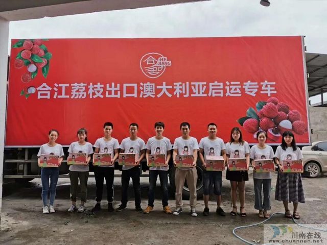荔枝紅了|官宣！合江荔枝正式上市(圖10)