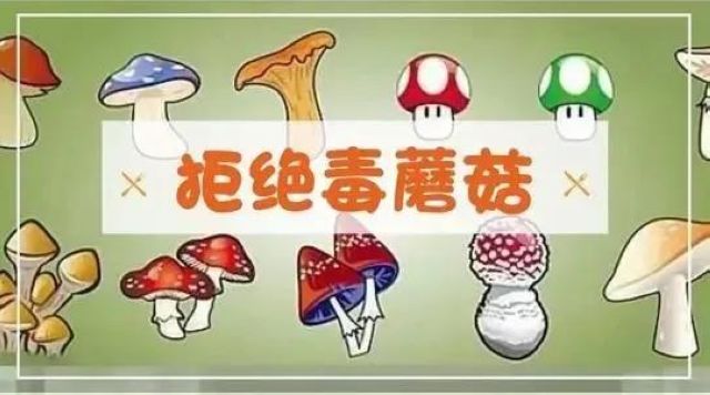 【緊急擴散】蘑菇中毒頻發(fā)，這幾類千萬要小心！(圖6)