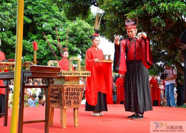 荔枝紅了！2020年合江荔枝采摘儀式在百年荔枝林舉行(圖5)