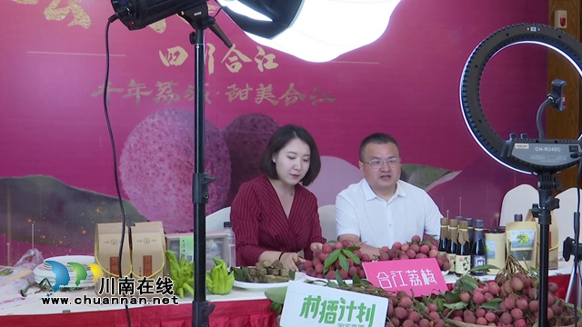 電商直播激發(fā)銷售潛力，合江荔枝綻放別樣“火紅”！
