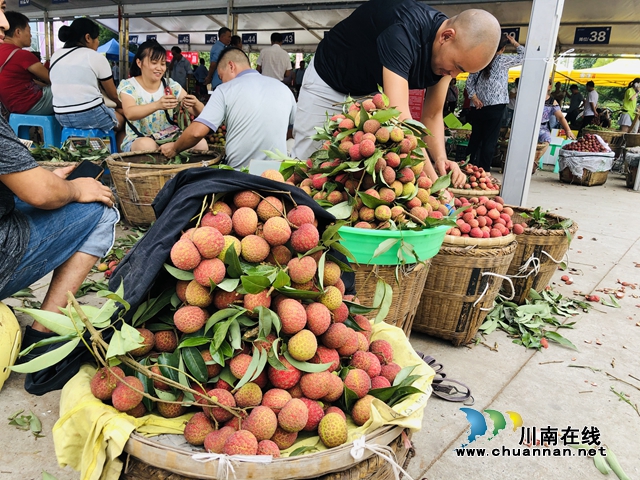 電商直播激發(fā)銷售潛力，合江荔枝綻放別樣“火紅”！(圖3)