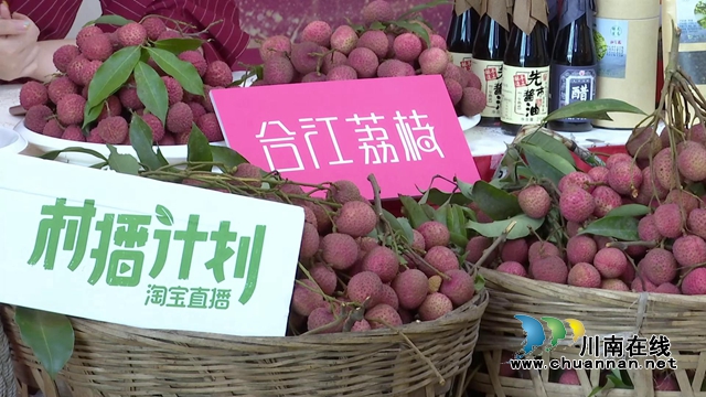電商直播激發(fā)銷售潛力，合江荔枝綻放別樣“火紅”！(圖2)