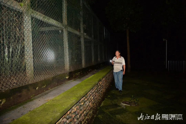 18年與虎為伴！內(nèi)江這個專職“鏟屎官”厲害了(圖8)