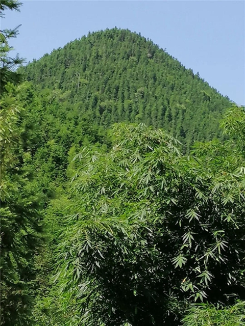 隆昌深山藏了一個“長壽之鄉(xiāng)”，帶你領略那些秘密與傳說！