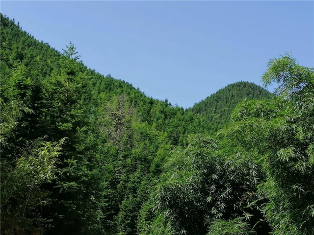 隆昌深山藏了一個(gè)“長(zhǎng)壽之鄉(xiāng)”，帶你領(lǐng)略那些秘密與傳說！(圖2)