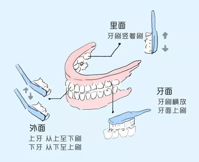 【注意】每天這樣刷牙，竟是在毀掉我們的牙齒？(圖4)