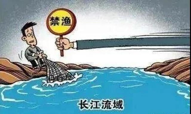 瀘縣一膽大個體戶網(wǎng)上銷售長江魚，嚴打沒商量！