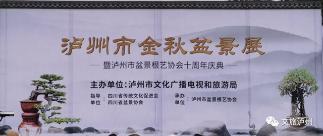 方寸展蒼勁 盆中攬風(fēng)華！瀘州市金秋盆景展開(kāi)展(圖1)