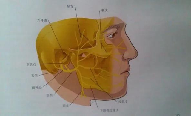 【太慘】一跤摔下去，男子下巴歪了、耳朵掉了？(圖2)
