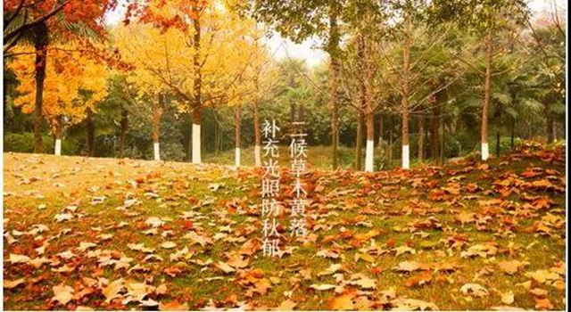 【霜降】明天起，火鍋、燒烤、串串不要吃了！(圖3)