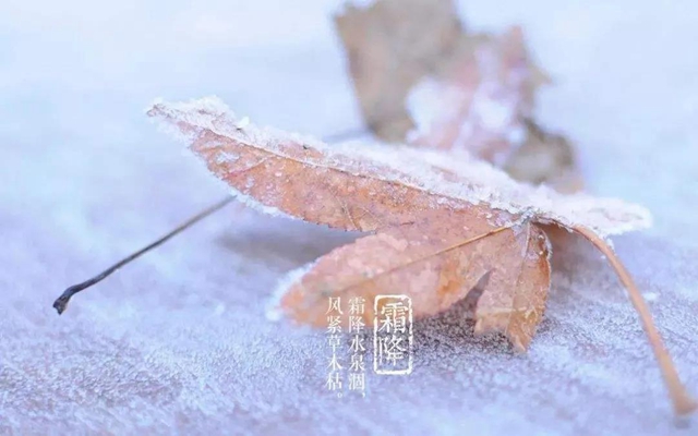 【霜降】明天起，火鍋、燒烤、串串不要吃了！(圖4)