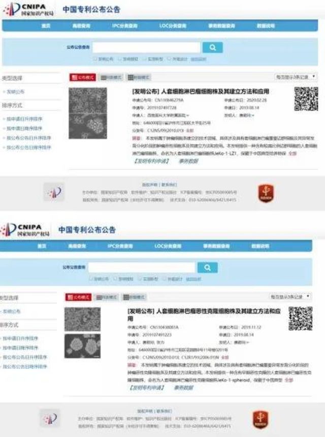 一對博士夫妻團隊的六年科研長跑，從甘坐“冷板凳”到成果卓然(圖15)