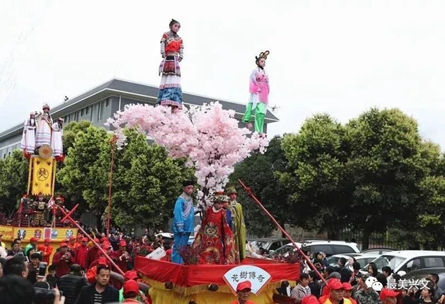宜賓百歲老人過生日！現(xiàn)場發(fā)生這一幕令人……(圖14)