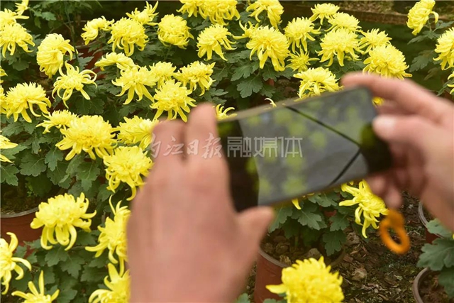 震撼！內(nèi)江城區(qū)邊，有片“七彩?！保?圖2)