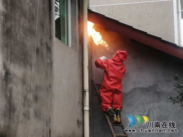 馬蜂威脅群眾安全 瀘縣龍城救援隊(duì)為民排憂(圖1)