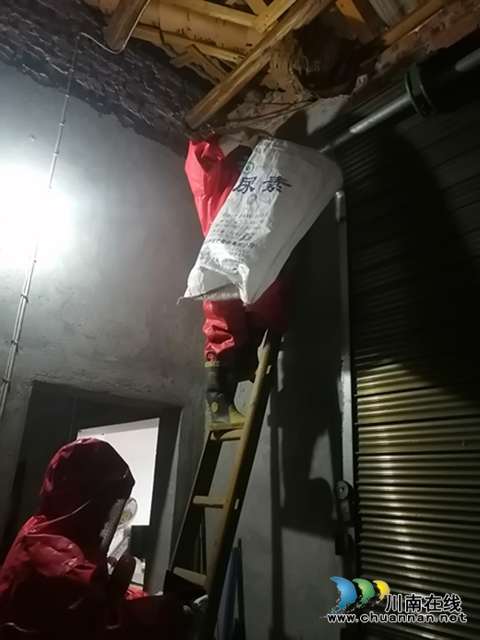 馬蜂威脅群眾安全 瀘縣龍城救援隊(duì)為民排憂(圖5)